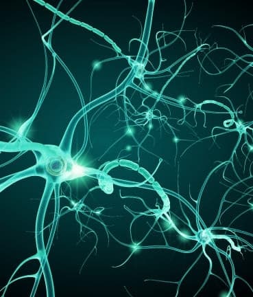Ilustração de neurônios