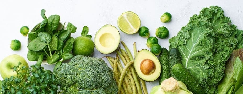 ESCOLHA DOS ALIMENTOS