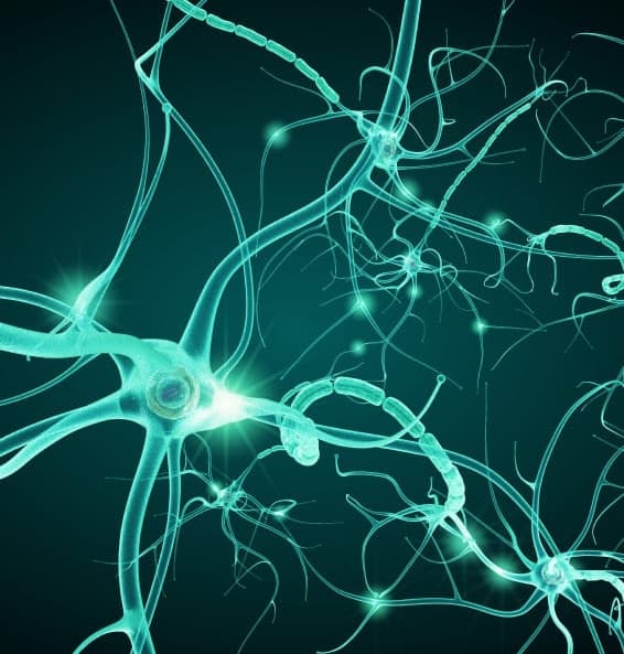 Ilustração de conexões neuronais