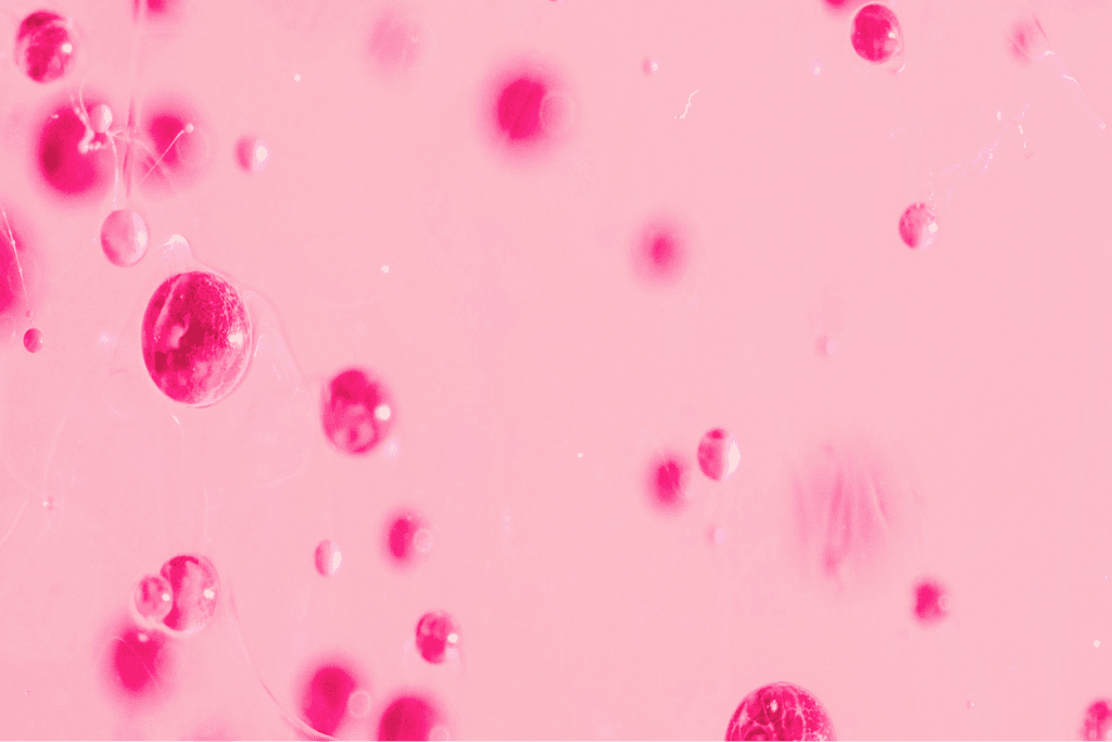 BIO VIT B9+