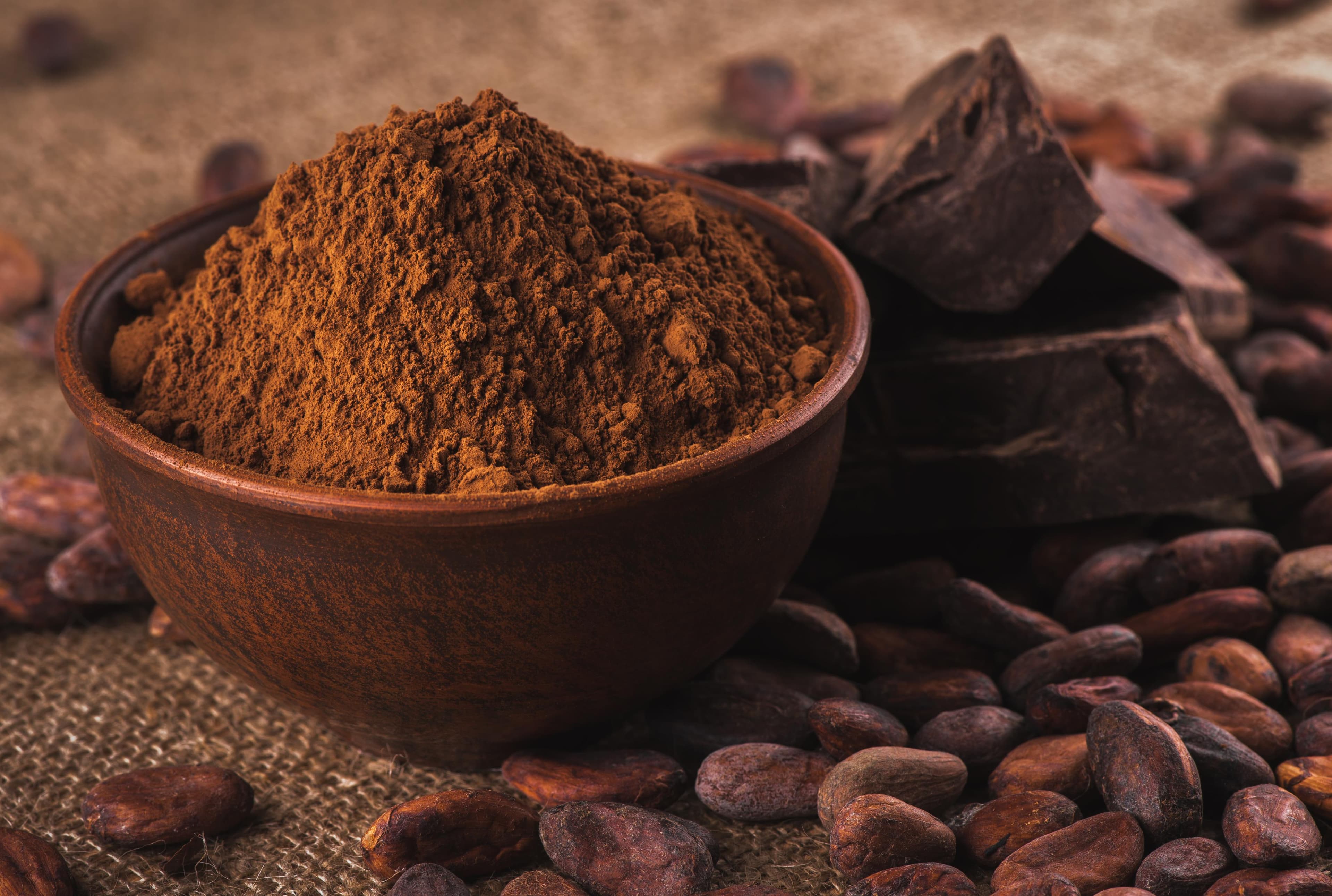 Tigela de barro com cacau em pó e pedaços de chocolate