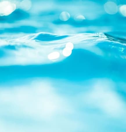 CONTROLE RIGOROSO DE CONTAMINANTES E METAIS PESADOS
