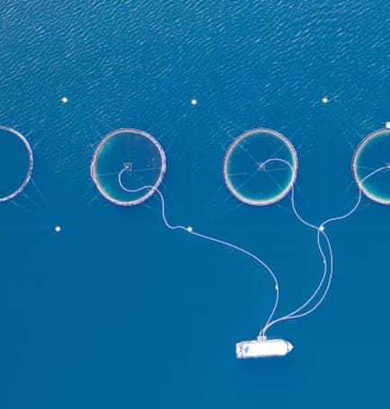 PESCA SUSTENTÁVEL DE ESPÉCIES SELVAGENS SEM AMEAÇA DE EXTINÇÃO