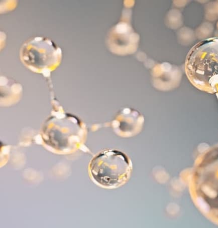Ômega 3 Pulse