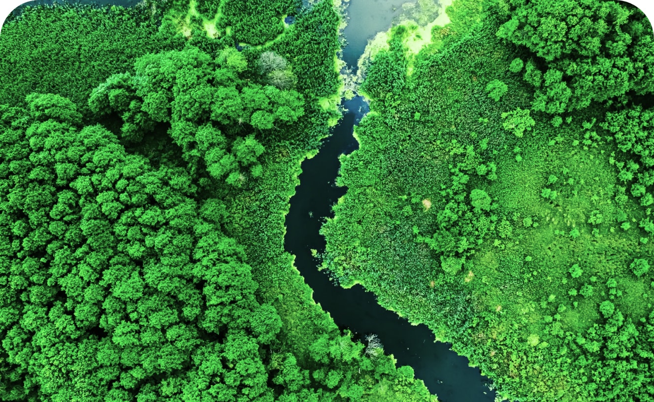 Vista aérea de uma floresta densa cortada por um rio